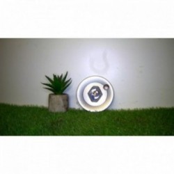 Logo RENAULT 