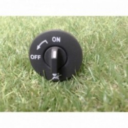 Bouton/Interrupteur DACIA...