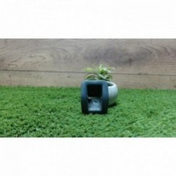 Divers VOLKSWAGEN GOLF 5