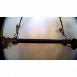 Train arriere complet CITROEN 