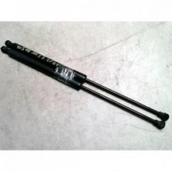 Verin de coffre CITROEN C3...