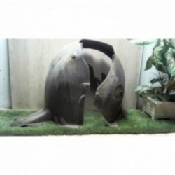 Pare boue avant droit SEAT...