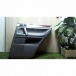 Panneau de porte arriere...