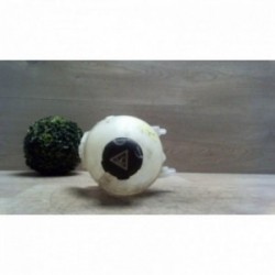 Vase d'expansion CITROEN...