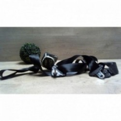 Ceinture arriere gauche...