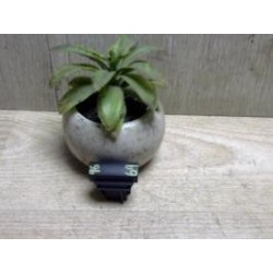 Bouton/Interrupteur SKODA...