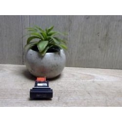 Bouton/Interrupteur SKODA...