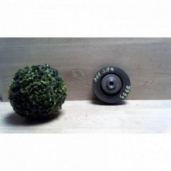 Poulie damper RENAULT 