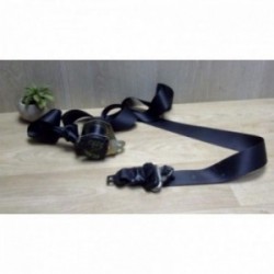 Ceinture arriere centrale...