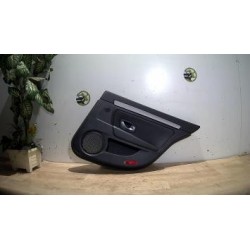 Panneau de porte arriere...