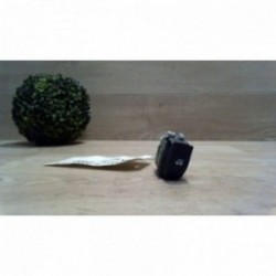 Bouton/Interrupteur RENAULT...