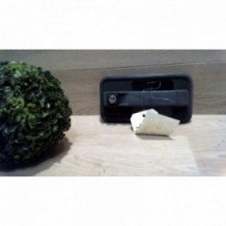 Poignee porte avant gauche...