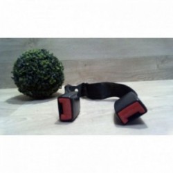 Attache ceinture arriere...