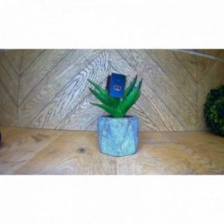 Bouton/Interrupteur HYUNDAI...