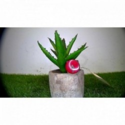 Bouton de warning PEUGEOT...