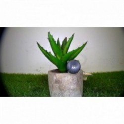 Bouton/Interrupteur PEUGEOT...