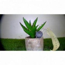 Bouton/Interrupteur PEUGEOT...