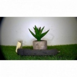 Poignee porte arriere droit...