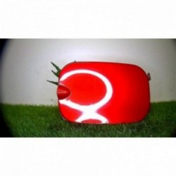 Trappe d'essence DACIA...