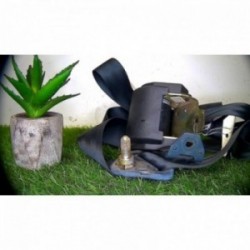 Ceinture arriere gauche...