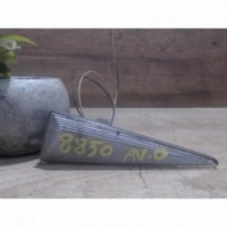 Repetiteur clignotant avant...