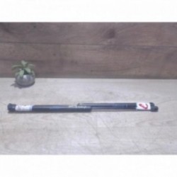 Verin de coffre DACIA...