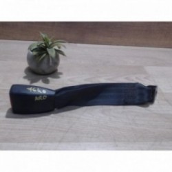 Attache ceinture arriere...