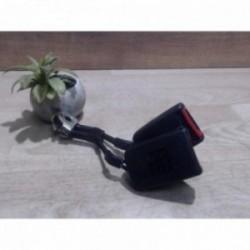 Attache ceinture arriere...