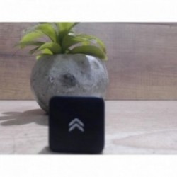 Bouton/Interrupteur CITROEN...