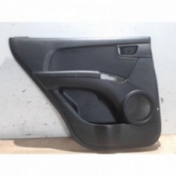 Panneau de porte arriere...