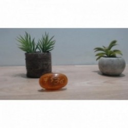 Repetiteur clignotant avant...