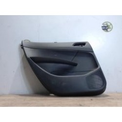 Panneau de porte arriere...