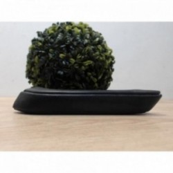 Poignee interieur arriere...