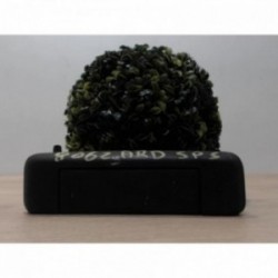 Poignee porte arriere droit...