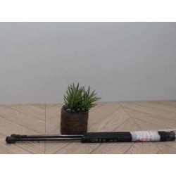 Verin de coffre FIAT 500 2...