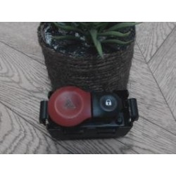 Bouton de warning RENAULT...