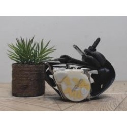 Ceinture centrale RENAULT...