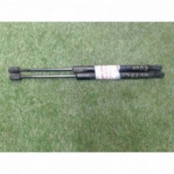 Verin de coffre DACIA...