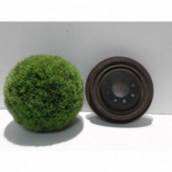 Tambour arriere droit...