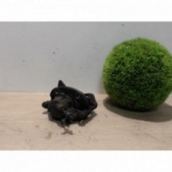 Etrier avant droit...