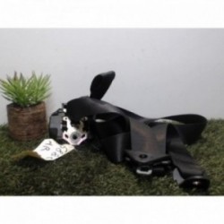 Ceinture arriere droit FORD...