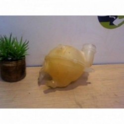Vase d'expansion CITROEN C4...