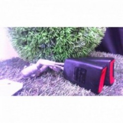 Attache ceinture arriere...