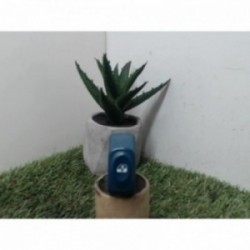 Interrupteur de leve vitre...