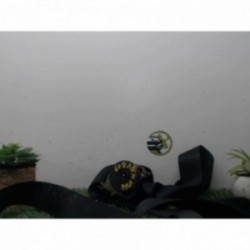 Ceinture arriere centrale...