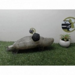 Vase d'expansion NISSAN...