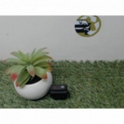 Bouton/Interrupteur RENAULT...