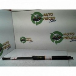 Verin de coffre CITROEN ZX...