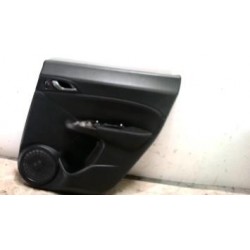 Panneau de porte arriere...