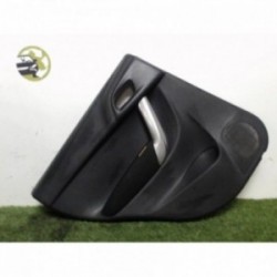 Panneau de porte arriere...